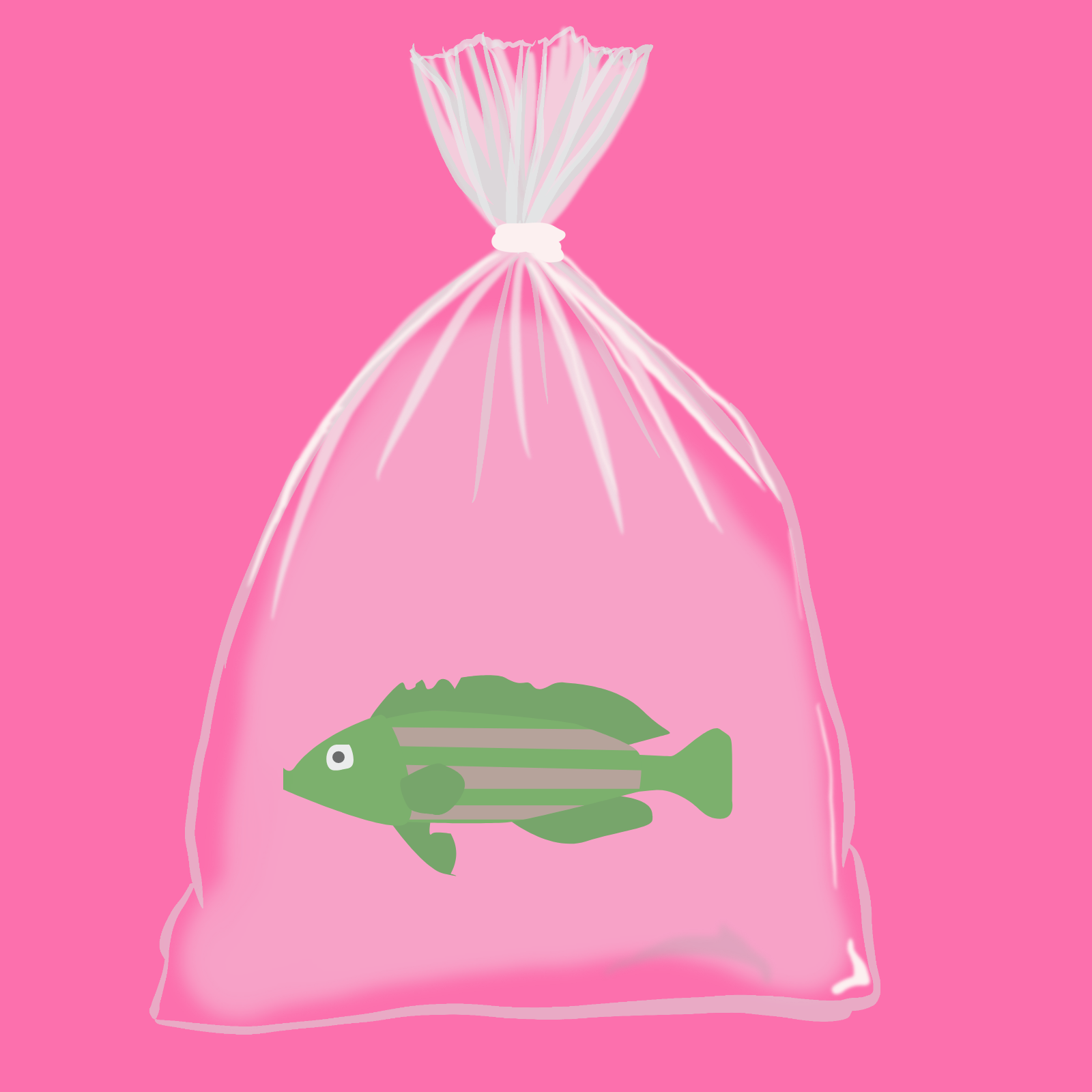 Feesh #3157 "Feesh #3157"