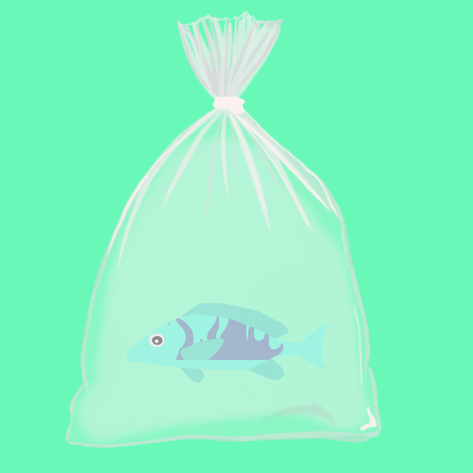 Feesh #3376