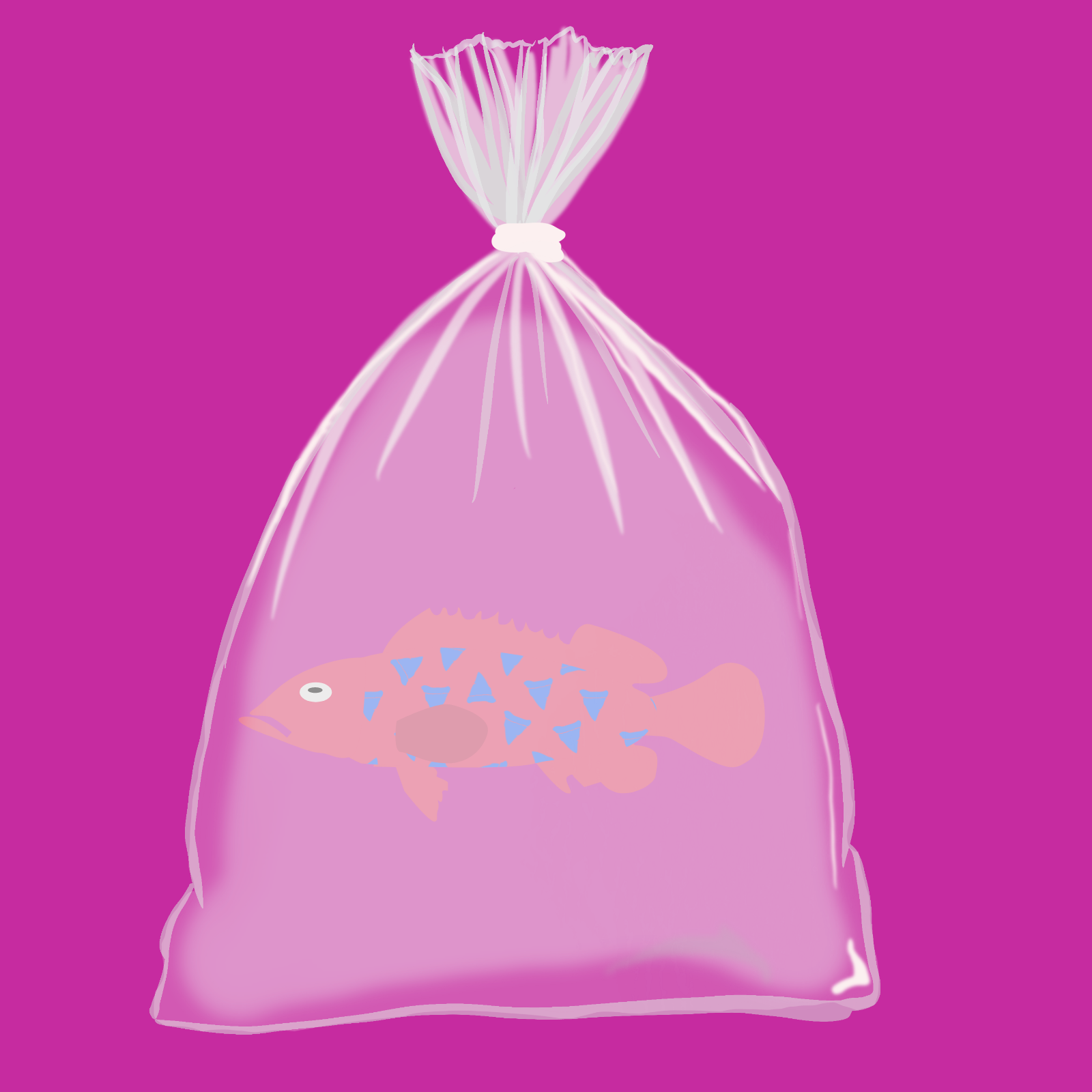 Feesh #3379