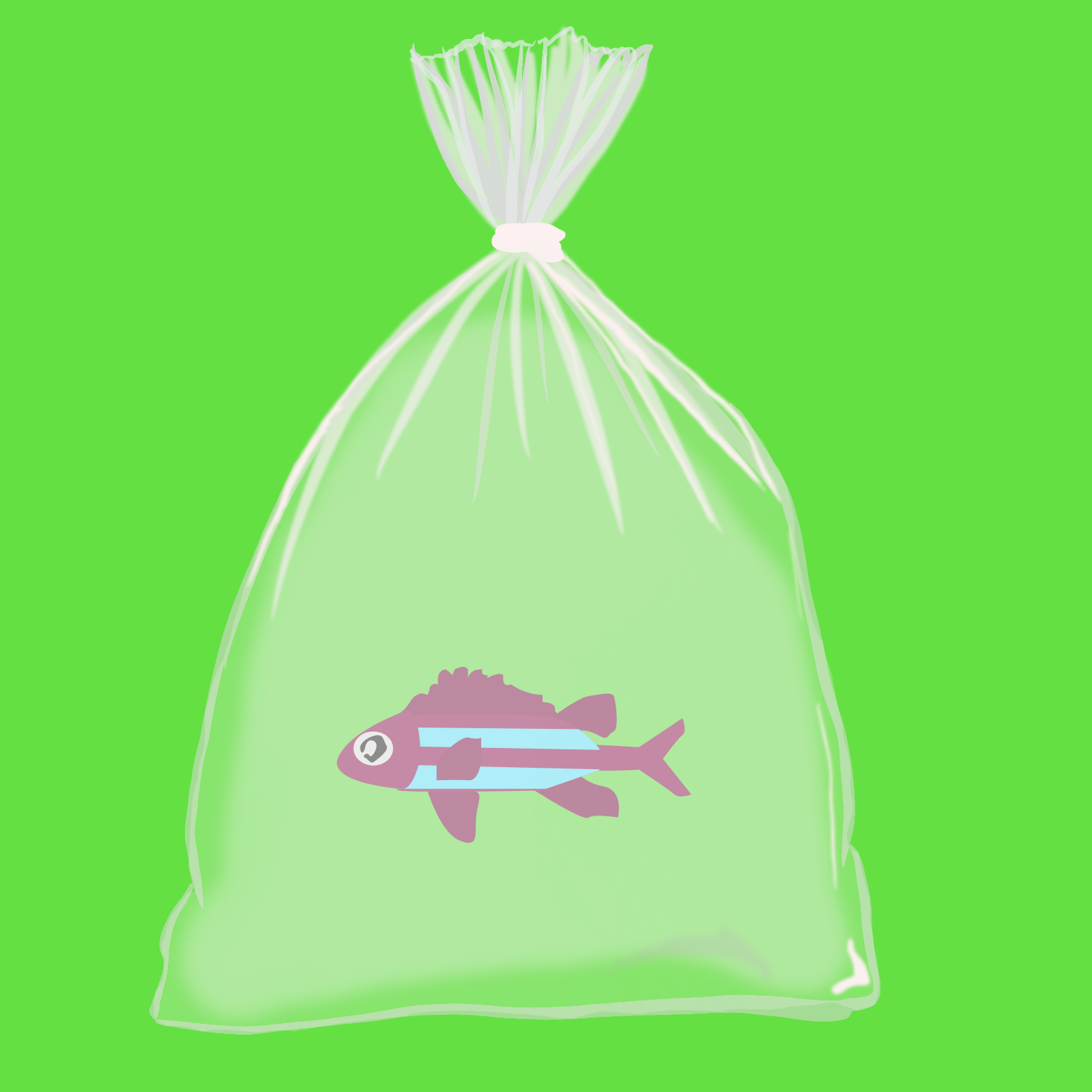 Feesh #3419