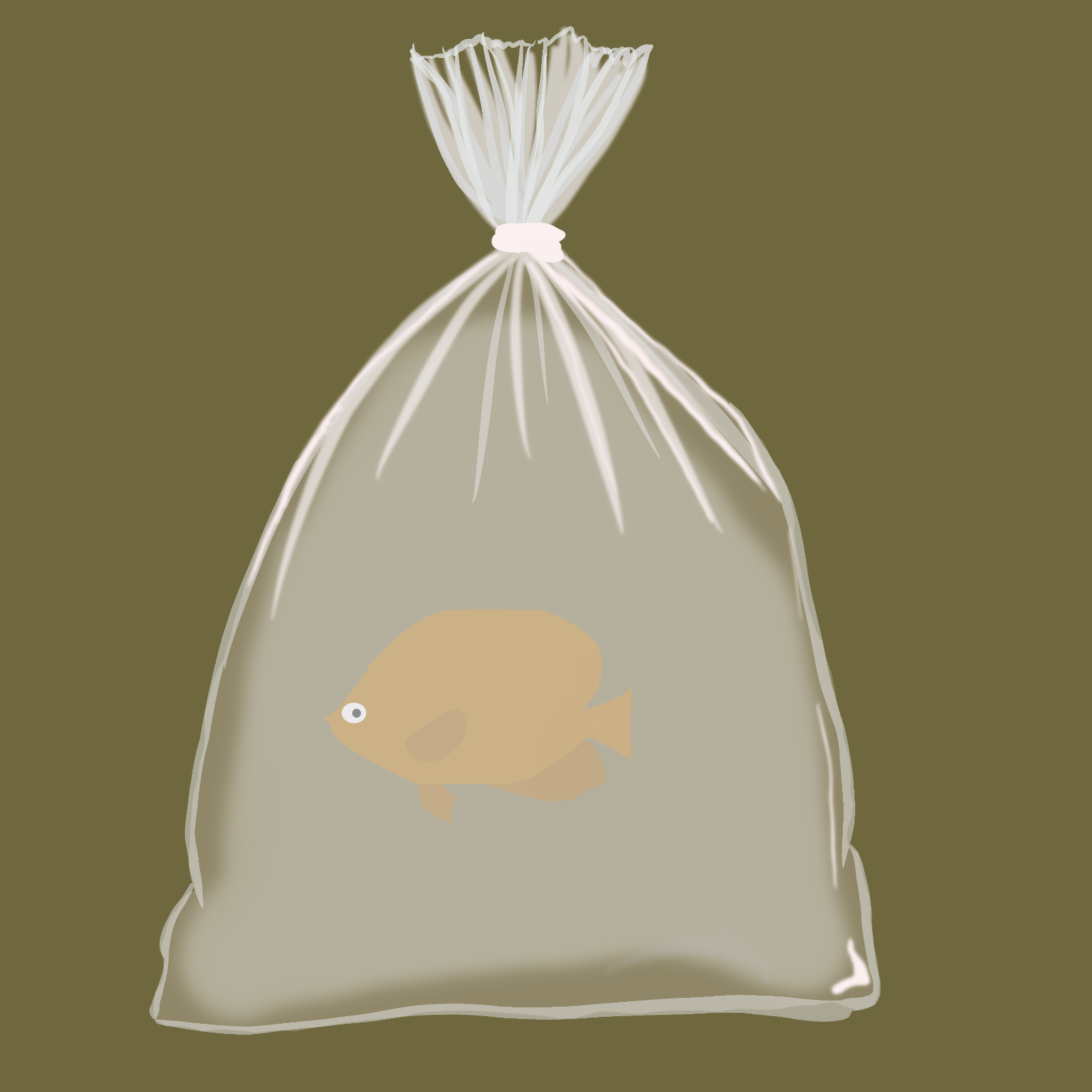 Feesh #3436