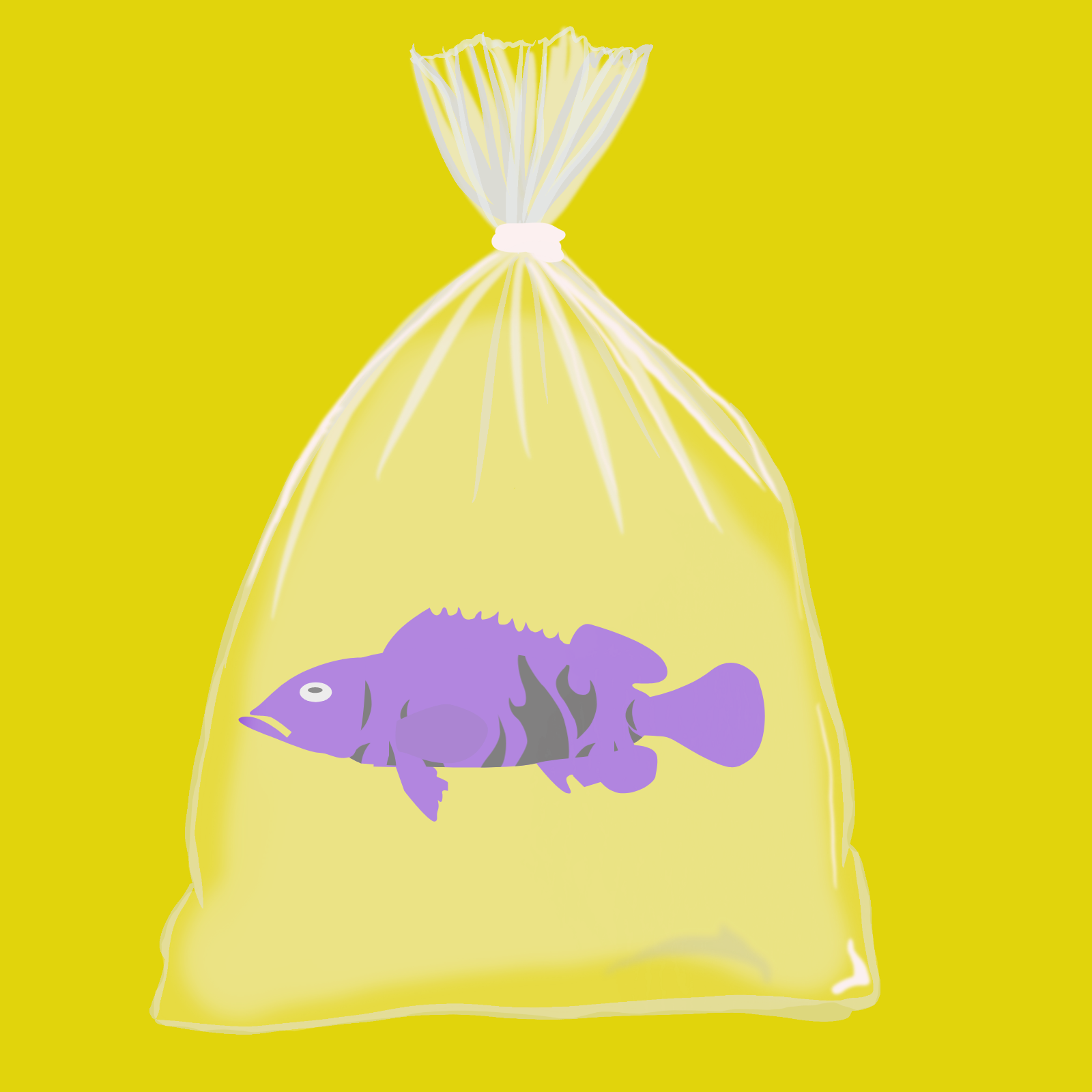 Feesh #3441