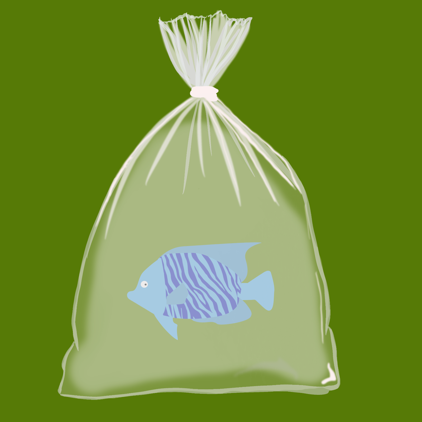 Feesh #3443
