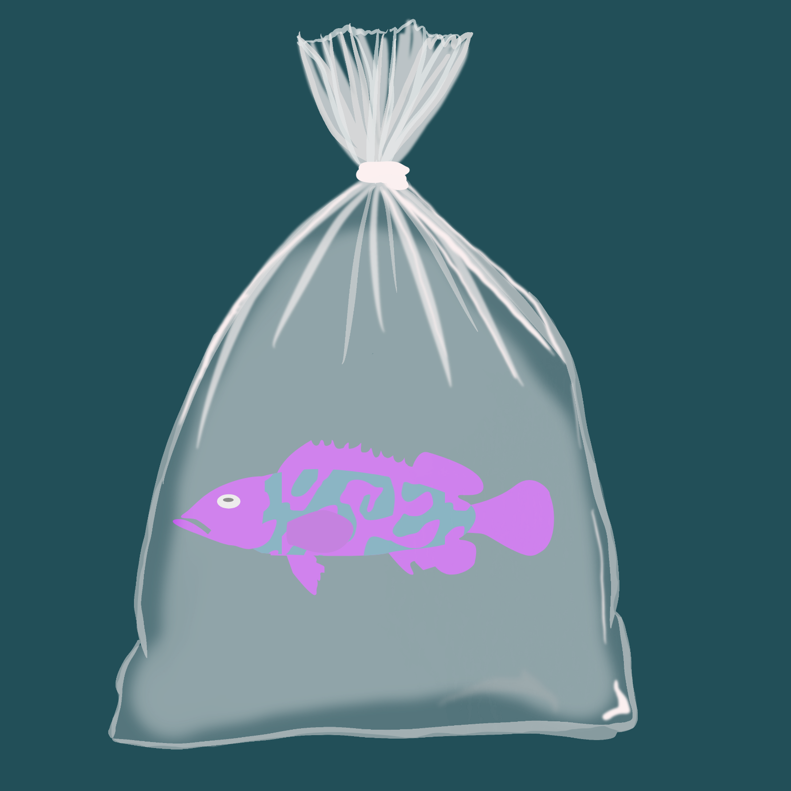 Feesh #3465
